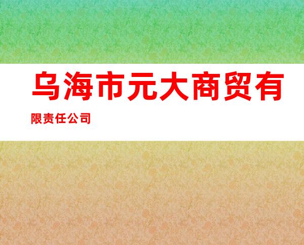乌海市元大商贸有限责任公司