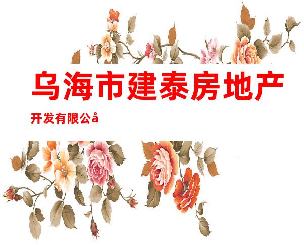 乌海市建泰房地产开发有限公司