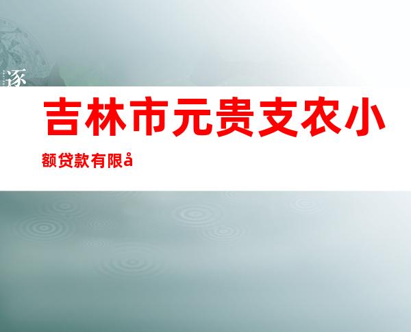 吉林市元贵支农小额贷款有限公司
