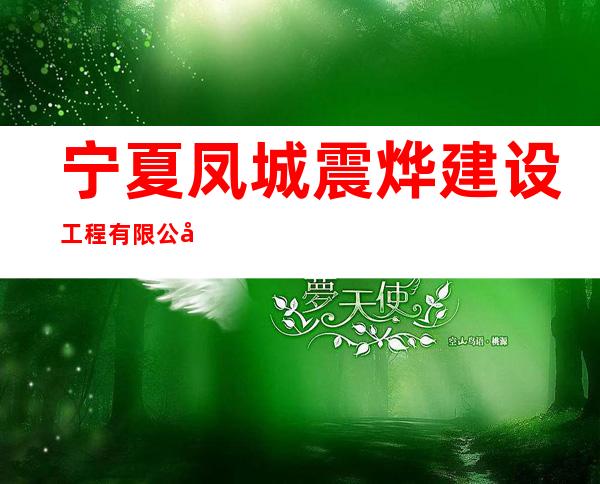 宁夏凤城震烨建设工程有限公司