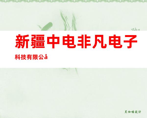 新疆中电非凡电子科技有限公司