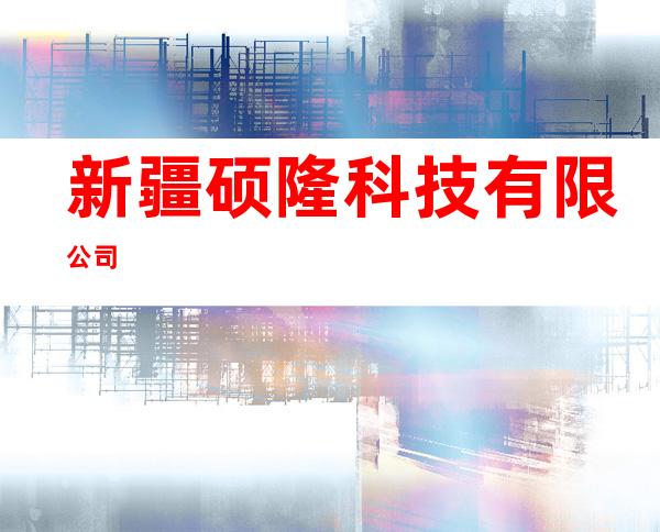 新疆硕隆科技有限公司