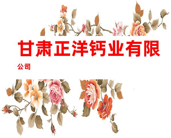 甘肃正洋钙业有限公司