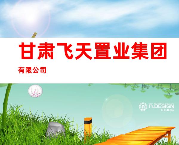 甘肃飞天置业集团有限公司