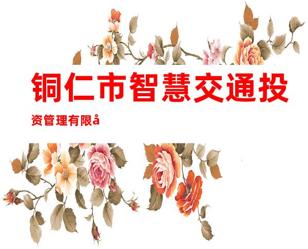 铜仁市智慧交通投资管理有限公司
